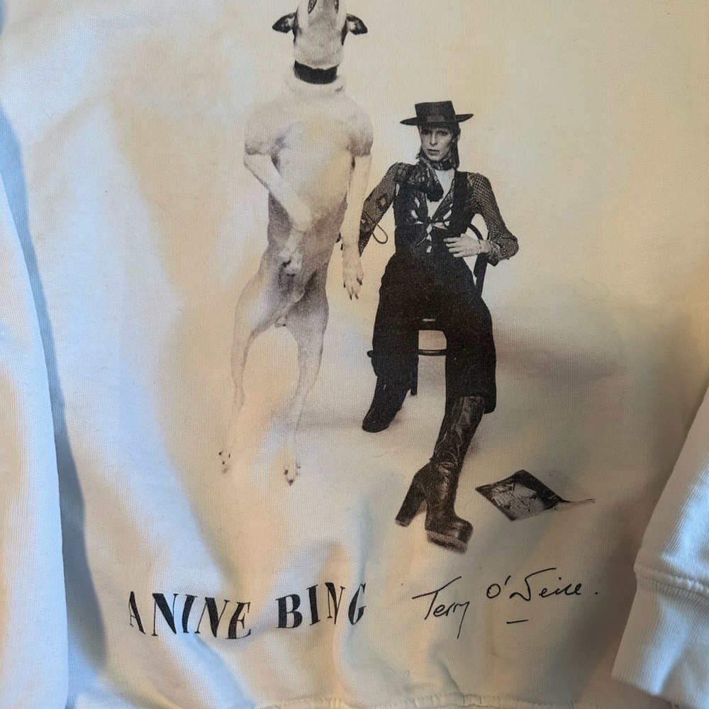 Anine Bing White Graphic Sweatshirt